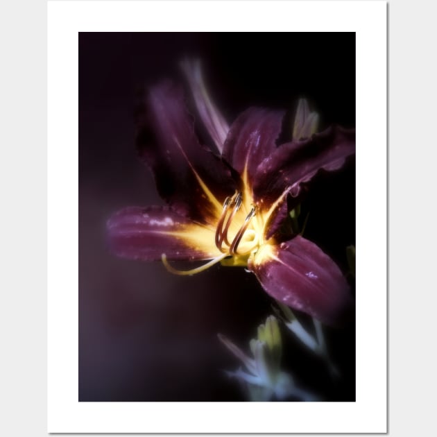 red magic day lily 2 Wall Art by DlmtleArt